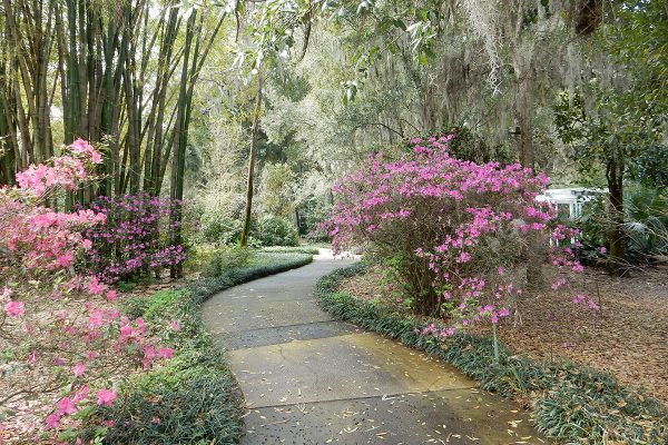 Harry Leu Gardens in Orlando, Florida